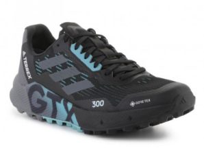 Shoes adidas Terrex Agravic Flow 2 GTX M H03382